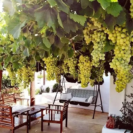 Lägenhet Casa De Flores 2 Plaka (Milos)