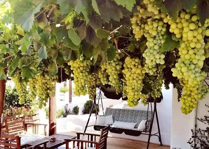 דירה Casa De Flores 2 פלאקה